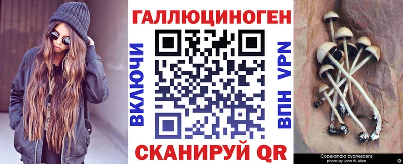 как найти наркотики  Пугачёв  Галлюциногенные грибы Magic Shrooms 